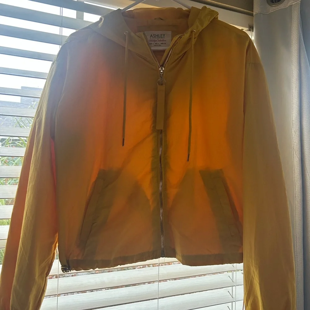 Yellow jacket - Picture 2 of 4